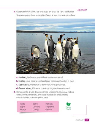 ¿Qué logré?
3. Observa el ecosistema de una playa en la isla de Tierra del Fuego.
Si una empresa tirara sustancias tóxicas al mar, cerca de esta playa:
a. Predice, ¿Qué efectos tendría en este ecosistema?
b. Explica, ¿qué pasaría con las algas y peces que habitan el mar?
c. Deduce si aumentarían o disminuirían los pingüinos.
d. Genera ideas, ¿Cómo se puede proteger este ecosistema?
4. Del siguiente grupo de organismos, selecciona algunos y elabora
una cadena alimentaria. Describe el papel de productores,
consumidores y descomponedores.
Pasto Zorro Hongos
Sapo Lombriz Serpiente
Mosca Conejo Gallina
Páginas
76 y 77
¿Qué logré? 179
 
