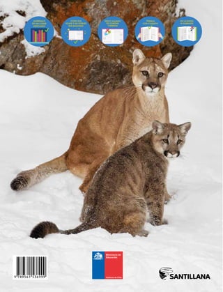 ciencias-1.pdf libro cuarto basico niños