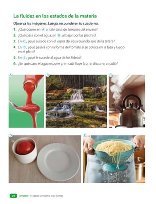 La fluidez en los estados de la materia
Observa las imágenes. Luego, responde en tu cuaderno.
1. ¿Qué ocurre en A al salir salsa de tomates del envase?
2. ¿Qué pasa con el agua, en B , al bajar por las piedras?
3. En C , ¿qué sucede con el vapor de agua cuando sale de la tetera?
4. En D , ¿qué pasará con la forma del tomate si se coloca en la taza y luego
en el plato?
5. En E , ¿qué le sucede al agua de los fideos?
6. ¿En qué caso el agua escurre y, en cuál fluye (corre, discurre, circula)?
A
D E
B C
Unidad 1 • Exploro la materia y las fuerzas
24
 