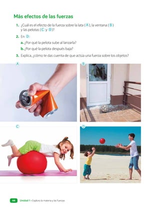 Más efectos de las fuerzas
1. ¿Cuál es el efecto de la fuerza sobre la lata ( A ), la ventana ( B )
y las pelotas ( C y D )?
2. En D :
a. ¿Por qué la pelota sube al lanzarla?
b.¿Por qué la pelota después baja?
3. Explica, ¿cómo te das cuenta de que actúa una fuerza sobre los objetos?
A
C
B
D
Unidad 1 • Exploro la materia y las fuerzas
44
 