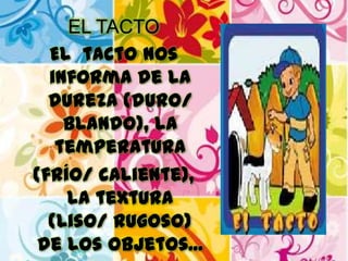 EL TACTO
El tacto nos
informa de la
dureza (duro/
blando), la
temperatura
(frío/ caliente),
la textura
(liso/ rugoso)
de los objetos...