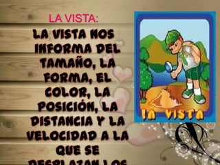 LA VISTA:
La vista nos
informa del
tamaño, la
forma, el
color, la
posición, la
distancia y la
velocidad a la
que se