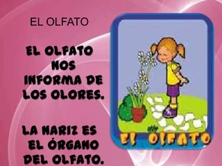 EL OLFATO
El olfato
nos
informa de
los olores.
La nariz es
el órgano
del olfato.