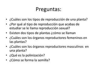 Preguntas:
• ¿Cuáles son los tipos de reproducción de una planta?
• ¿Por qué al tipo de reproducción que acabas de
  estudiar se le llama reproducción sexual?
• Existen dos tipos de plantas ¿cómo se llaman
• ¿Cuáles son los órganos reproductores femeninos en
  las plantas?
• ¿Cuáles son los órganos reproductores masculinos en
  una planta?
• ¿Qué es la polinización?
• ¿Cómo se forma la semilla?
 