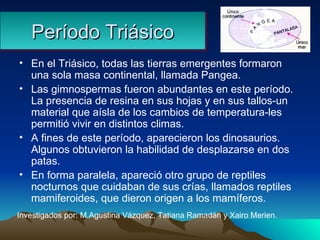 Período Triásico En el Triásico, todas las tierras emergentes formaron una sola masa continental, llamada Pangea. Las gimnospermas fueron abundantes en este período.  La presencia de resina en sus hojas y en sus tallos-un material que aísla de los cambios de temperatura-les permitió vivir en distintos climas. A fines de este período, aparecieron los dinosaurios. Algunos obtuvieron la habilidad de desplazarse en dos patas. En forma paralela, apareció otro grupo de reptiles nocturnos que cuidaban de sus crías, llamados reptiles mamiferoides, que dieron origen a los mamíferos. Investigados por: M.Agustina Vázquez, Tatiana Ramadán y Xairo Merien. 