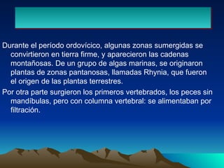 Durante el período ordovícico, algunas zonas sumergidas se convirtieron en tierra firme, y aparecieron las cadenas montañosas. De un grupo de algas marinas, se originaron plantas de zonas pantanosas, llamadas Rhynia, que fueron el origen de las plantas terrestres. Por otra parte surgieron los primeros vertebrados, los peces sin mandíbulas, pero con columna vertebral: se alimentaban por filtración.  