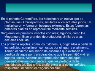 En el periodo Carbonífero, los helechos y un nuevo tipo de plantas, las Gimnospermas, similares a los actuales pinos, Se multiplicaron y formaron bosques externos. Estas fueron las primeras plantas en reproducirse mediante semillas. Surgieron los primeros insectos con alas; algunos, como los Meganeura, Eran grandes depredadores similares a las actuales libélulas. Los primeros reptiles, como los hylonomus, originados a partir de los anfibios, compitieron con estos por el lugar y el alimento. Tenían el cuerpo recubierto de escamas que evitaban la perdida de agua por transpiración, lo que les permitió vivir en lugares secos. Además se reproducían fuera del agua poniendo huevos con cáscara, que los protegía de la deshidratación. Sus crías, a diferencia a la de los anfibios, respiraban, al nacer, el oxigeno del aire. 