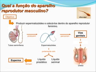 Qual a função do aparelho
reprodutor masculino?
 Objetivo                                                                   clica aqui



             Produzir espermatozóides e colocá-los dentro do aparelho reprodutor
                                         feminino.

                                                                           Vias
                           produzem                           percorrem   genitais

                                                                            até
    Tubos seminíferos                     Espermatozóides


                                           juntamente com



       Esperma                         Líquido      Líquido
                                      prostático    seminal
                        formam
                                                                           Uretra

 Planeta Terra — 9.º ano
 
