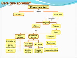 Será que aprendi?
                                    Sistema reprodutor

                                               Pode ser

                 Feminino                                                    Masculino

                                                                     composto
                                                                       por

                                                                Órgãos
                                            Internos                       Externos

                                              são
                                                                            Pénis
                    Vias           Glândulas
                                                                    Gónadas
                   genitais         anexas

    Epidídimos
                              Vesículas                             Testículos
     Canais                                    Próstata
                              seminais                                     produzem
    deferentes                     produz              produz

                              Líquido          Líquido           Espermatozóides
      Uretra
                              seminal         prostático

 Planeta Terra — 9.º ano
 