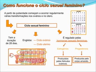 Como funciona o ciclo sexual feminino?
A partir da puberdade começam a ocorrer regularmente
várias transformações nos ovários e no útero.



                     Ciclo sexual feminino



   Tem a                                           É regulado pelas
  duração          Engloba: — Ciclo ovárico   hormonas sexuais femininas.
 de 28 dias.                — Ciclo uterino
                                              Estrogénios       Progesterona



                                               Produzidos       Produzida pelo
                                              pelos folículos   corpo amarelo.
                                                ováricos.

Planeta Terra — 9.º ano
 