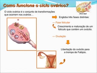Como funciona o ciclo ovárico?
O ciclo ovárico é o conjunto de transformações
                                                                     clica aqui
que ocorrem nos ovários…
                                                  Engloba três fases distintas:

                                           — Fase folicular
                                                 Crescimento e maturação de um
                                                 folículo que contém um ovócito.

                                           — Ovulação




                                                   Libertação do ovócito para
                                                      a trompa de Falópio.




Planeta Terra — 9.º ano
 