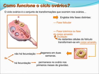 Como funciona o ciclo ovárico?
O ciclo ovárico é o conjunto de transformações que ocorrem nos ovários…

                                                  Engloba três fases distintas:

                                            — Fase folicular


                                            — Fase luteínica ou fase
                                            do corpo amarelo
                                            — Ovulação
                                                As restantes células do folículo
                                                transformam-se em corpo amarelo.



          não há fecundação      degenera em duas
                                     semanas.
Se
         há fecundação          permanece no ovário nos
                              primeiros meses de gravidez.

Planeta Terra — 9.º ano
 
