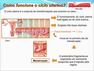 Como funciona o ciclo uterino?
                                                                  clica aqui
O ciclo uterino é o conjunto de transformações que ocorrem no útero…

                                                O funcionamento do ciclo uterino
                                                está ligado ao do ciclo ovárico.

                                                 Engloba três fases distintas:

                                           — Fase menstrual        5 dias

                                                   Inicia-se no primeiro dia da
 Útero                                                     menstruação




                                                  O endométrio fragmenta-se
                                                   originando um corrimento
                          Menstruação            sanguíneo que é expulso pela
                                                            vagina.
Planeta Terra — 9.º ano
 