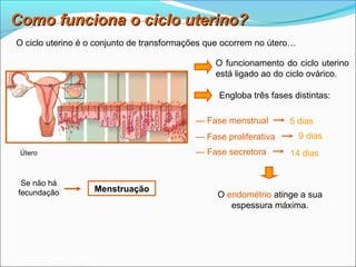 Como funciona o ciclo uterino?
O ciclo uterino é o conjunto de transformações que ocorrem no útero…

                                                O funcionamento do ciclo uterino
                                                está ligado ao do ciclo ovárico.

                                                 Engloba três fases distintas:

                                           — Fase menstrual        5 dias
                                           — Fase proliferativa        9 dias
 Útero                                     — Fase secretora        14 dias


 Se não há
fecundação            Menstruação
                                                O endométrio atinge a sua
                                                   espessura máxima.




Planeta Terra — 9.º ano
 