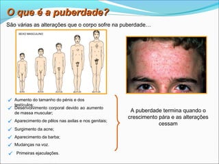 O que é a puberdade?
São várias as alterações que o corpo sofre na puberdade…
      SEXO MASCULINO




   Aumento do tamanho do pénis e dos
    testículos;
   Desenvolvimento corporal devido ao aumento
    de massa muscular;                                  A puberdade termina quando o
                                                       crescimento pára e as alterações
   Aparecimento de pêlos nas axilas e nos genitais;
                                                                   cessam
   Surgimento da acne;

   Aparecimento da barba;

   Mudanças na voz.

  Primeiras ejaculações.
 Planeta Terra — 9.º ano
 