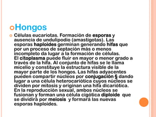Hongos
 Células eucariotas. Formación de esporas y
ausencia de undulipodio (amastigotas). Las
esporas haploides germinan generando hifas que
por un proceso de septación más o menos
incompleto da lugar a la formación de células.
El citoplasma puede fluir en mayor o menor grado a
través de la hifa. Al conjunto de hifas se le llama
micelio y constituye la estructura visible de la
mayor parte de los hongos. Las hifas adyacentes
pueden compartir núcleos por conjugación § dando
lugar a una célula heterocariótica cuyos núcleos se
dividen por mitosis y originan una hifa dicariótica.
En la reproducción sexual, ambos núcleos se
fusionan y forman una célula cigótica diploide que
se dividirá por meiosis y formará las nuevas
esporas haploides.
 