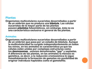 Plantas
Organismos multicelulares eucariotas desarrollados a partir
de un embrión que no produce una blástula. Las células
eucariotas de la mayor parte de las plantas
poseen plástidos fotosintéticos, sin embargo, ésta no es
una característica exclusiva ni general de las plantas.
Animales
Organismos multicelulares eucariotas desarrollados a partir
de un embrión que pasa por un estadio de blástula. Aunque
la multicelularidad ha surgido independientemente en todos
los reinos, en los animales es característica ya que las
células están unidas por complejas estructuras como
los desmosomas , uniones denominadas "gap" y septadas.
A diferencia de las plantas, en los animales la meiosis es
gamética, es decir, a la reducción cromosómica le sigue
inmediatamente la formación de gametas sin posibilidad de
originar individuos haploides como el gametofito.
 