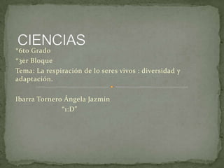 *6to Grado
*3er Bloque
Tema: La respiración de lo seres vivos : diversidad y
adaptación.
Ibarra Tornero Ángela Jazmín
“1:D”
 