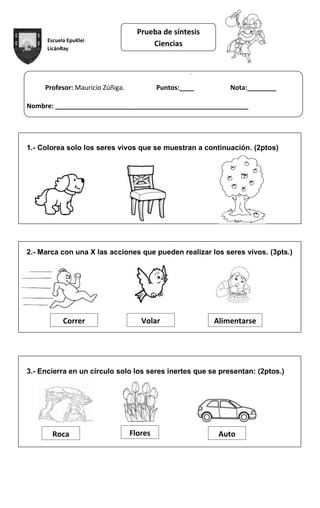 Escuela EpuKlei
LicánRay
.
Profesor: Mauricio Zúñiga. Puntos:____ Nota:________
Nombre: _____________________________________________________
1.- Colorea solo los seres vivos que se muestran a continuación. (2ptos)
2.- Marca con una X las acciones que pueden realizar los seres vivos. (3pts.)
3.- Encierra en un círculo solo los seres inertes que se presentan: (2ptos.)
Prueba de síntesis
Ciencias
Correr Volar Alimentarse
Roca Flores Auto
 