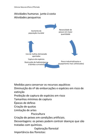 Necessidade de
pescar em maior
quantidade
Pesca industrial(navios e
equipamento mais sofisticados)
Uso de malhas demasiado
apertadas
Captura de espécies
Destruição de habitats(pesca
á bomba e arrastos)
Aumento da
população mundial
Ciências Naturais 8ºano 2ºPeríodo
Atividades humanas junto á costa
Atividades pesqueiras
Medidas para conservar os recursos aquáticos
Diminuição do nº de embarcações e espécies em risco de
extinção
Proibição de captura de espécies em risco
Tamanhos mínimos de captura
Épocas de defeso
Criação de quotas
Limitação de artes
Piscicultura
Criação de peixes em condições artificiais.
Desvantagens: os peixes podem contrair doenças que são
tratadas com químicos.
Exploração florestal
Importância das florestas:
 