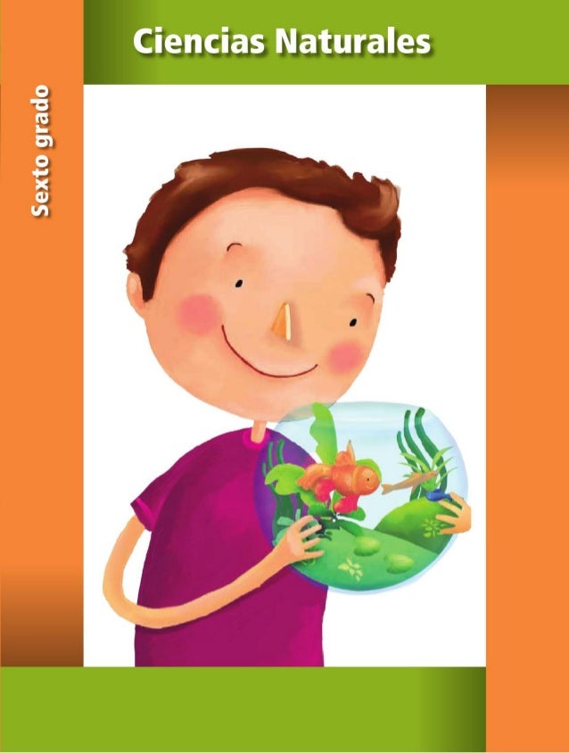 Libros De Sexto Grado Ciencias Naturales De Primaria 2015 2016 | libro de texto ciencias naturales 6to grado primaria 2014 Libros De Sexto Grado Ciencias Naturales De Primaria 2015 2016 | libro de texto ciencias naturales 6to grado primaria 2014