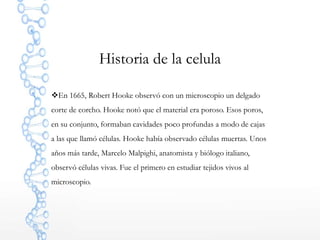 Historia de la celula
En 1665, Robert Hooke observó con un microscopio un delgado
corte de corcho. Hooke notó que el material era poroso. Esos poros,
en su conjunto, formaban cavidades poco profundas a modo de cajas
a las que llamó células. Hooke había observado células muertas. Unos
años más tarde, Marcelo Malpighi, anatomista y biólogo italiano,
observó células vivas. Fue el primero en estudiar tejidos vivos al
microscopio.
 