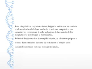 los bioquímicos, cuyos estudios se dirigieron a dilucidar los caminos
por los cuales la célula lleva a cabo las reacciones bioquímicas que
sustentan los procesos de la vida, incluyendo la fabricación de los
materiales que constituyen la misma célula.
Ambas direcciones han convergido hoy día, de tal forma que para el
estudio de la estructura celular y de su función se aplican tanto
técnicas bioquímicas como de biología molecular.
 