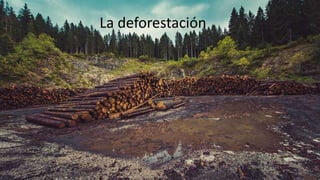 La deforestación
 
