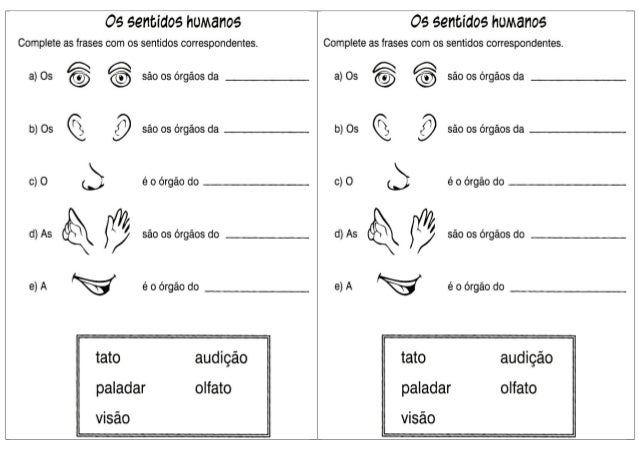 Resultado de imagem para atividades sentidos