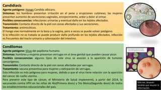 Candidiasis
Agente patógeno: Hongo Candida albicans.
Síntomas: los hombres presentan irritación en el pene y erupciones cutáneas; las mujeres
presentan aumento de secreciones vaginales, enrojecimiento, ardor y dolor al orinar.
Posibles consecuencias: infecciones urinarias y eventual daño en los tejidos afectados.
Transmisión: Contacto directo de la piel con zonas afectadas y sus secreciones.
Tratamiento: antimicóticos.
El hongo vive normalmente en la boca y la vagina, pero a veces se puede volver patógeno.
Si la infección no es tratada se puede producir daño profundo en los tejidos afectados, infección
es frecuentes del tracto urinario y colonización del intestino.
Condilomas
Agente patógeno: Virus del papiloma humano.
Síntomas: hombres y mujeres presentan verrugas en el área genital que pueden causar picor.
Posibles consecuencias: algunos tipos de este virus se asocian a la aparición de tumores
cancerígenos.
Transmisión: Contacto directo de la piel con zonas afectadas por verrugas.
Tratamiento: vacuna preventiva para mujeres y extirpación de verrugas.
Esta infección es más peligrosa para mujeres, debido a que el virus tiene relación con la aparición
del cáncer de cuello uterino.
Para prevenir este tipo de cáncer, el Ministerio de Salud implementó, a partir del 2014, la
vacunación contra VPH en las niñas de 4to(Primera dosis) y 5to Básico(Segunda dosis) de todos
los establecimientos educacionales del país.
Sólo lee, después
tendrás que resumir la
información.
 