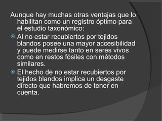 Aunque hay muchas otras ventajas que lo habilitan como un registro óptimo para el estudio taxonómico: Al no estar recubiertos por tejidos blandos posee una mayor accesibilidad y puede medirse tanto en seres vivos como en restos fósiles con métodos similares. El hecho de no estar recubiertos por tejidos blandos implica un desgaste directo que habremos de tener en cuenta. 