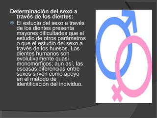 Determinación del sexo a través de los dientes:   El estudio del sexo a través de los dientes presenta mayores dificultades que el estudio de otros parámetros o que el estudio del sexo a través de los huesos. Los dientes humanos son evolutivamente quasi monomórficos; aun así, las escasas diferencias entre sexos sirven como apoyo en el método de identificación del individuo. 