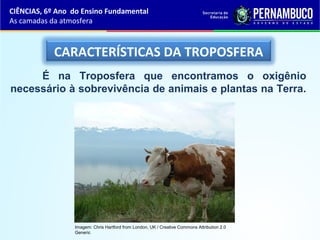 CARACTERÍSTICAS DA TROPOSFERA
É na Troposfera que encontramos o oxigênio
necessário à sobrevivência de animais e plantas na Terra.
CIÊNCIAS, 6º Ano do Ensino Fundamental
As camadas da atmosfera
Imagem: Chris Hartford from London, UK / Creative Commons Attribution 2.0
Generic
 
