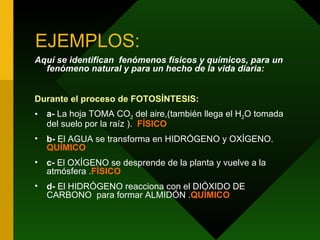 EJEMPLOS: Aquí se identifican  fenómenos físicos y químicos, para un fenómeno natural y para un hecho de la vida diaria:   Durante el proceso de FOTOSÍNTESIS: a-  La hoja TOMA CO 2  del aire,(también llega el H 2 O tomada del suelo por la raíz ).  FÍSICO b-  El AGUA se transforma en HIDRÓGENO y OXÍGENO.  QUÍMICO c-  El OXÍGENO se desprende de la planta y vuelve a la atmósfera . FÍSICO d-  El HIDRÓGENO reacciona con el DIÓXIDO DE CARBONO  para formar ALMIDÓN . QUÍMICO 