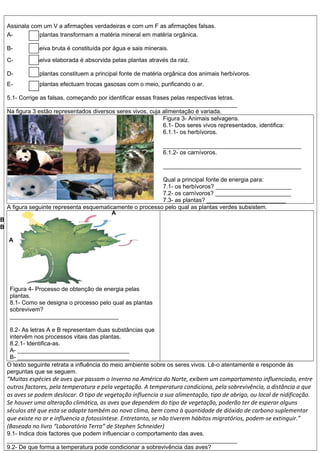Assinala com um V a afirmações verdadeiras e com um F as afirmações falsas.
A- As plantas transformam a matéria mineral em matéria orgânica.
B- A seiva bruta é constituída por água e sais minerais.
C- A seiva elaborada é absorvida pelas plantas através da raiz.
D- As plantas constituem a principal fonte de matéria orgânica dos animais herbívoros.
E- As plantas efectuam trocas gasosas com o meio, purificando o ar.
5.1- Corrige as falsas, começando por identificar essas frases pelas respectivas letras.
______________________________________________________________________
Na figura 3 estão representados diversos seres vivos, cuja alimentação é variada.
Figura 3- Animais selvagens.
6.1- Dos seres vivos representados, identifica:
6.1.1- os herbívoros.
__________________________________________
6.1.2- os carnívoros.
__________________________________________
Qual a principal fonte de energia para:
7.1- os herbívoros? _______________________
7.2- os carnívoros? _______________________
7.3- as plantas? ________________________
A figura seguinte representa esquematicamente o processo pelo qual as plantas verdes subsistem.
Figura 4- Processo de obtenção de energia pelas
plantas.
8.1- Como se designa o processo pelo qual as plantas
sobrevivem?
_________________________________
8.2- As letras A e B representam duas substâncias que
intervêm nos processos vitais das plantas.
8.2.1- Identifica-as.
A- __________________________________
B- __________________________________
O texto seguinte retrata a influência do meio ambiente sobre os seres vivos. Lê-o atentamente e responde às
perguntas que se seguem.
“Muitas espécies de aves que passam o Inverno na América do Norte, exibem um comportamento influenciado, entre
outros factores, pela temperatura e pela vegetação. A temperatura condiciona, pela sobrevivência, a distância a que
as aves se podem deslocar. O tipo de vegetação influencia a sua alimentação, tipo de abrigo, ou local de nidificação.
Se houver uma alteração climática, as aves que dependem do tipo de vegetação, poderão ter de esperar alguns
séculos até que esta se adapte também ao novo clima, bem como à quantidade de dióxido de carbono suplementar
que existe no ar e influencia a fotossíntese. Entretanto, se não tiverem hábitos migratórios, podem-se extinguir.”
(Baseado no livro “Laboratório Terra” de Stephen Schneider)
9.1- Indica dois factores que podem influenciar o comportamento das aves.
______________________________________________________________________
9.2- De que forma a temperatura pode condicionar a sobrevivência das aves?
B
A
B
A
 