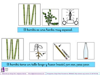 Ciencias-Naturales-Tema-4-las-plantas.pdf