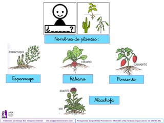 Ciencias-Naturales-Tema-4-las-plantas.pdf