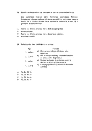 23. Identifique el mecanismo de transporte al que hace referencia el texto.
Las sustancias lipídicas como hormonas esteroideas, fármacos
liposolubles, glicerina, oxígeno, nitrógeno atmosférico, entre otras, pasan al
interior de la célula a través de la membrana plasmática a favor de la
gradiente de concentración.
A) Pasivo por difusión simple a través de la bicapa lipídica
B) Activo primario
C) Pasivo por difusión simple a través de canales proteicos
D) Activo secundario
24. Relacione los tipos de ARN con su función.
Tipo Función
1. ARNm
a) Lleva un aminoácido del núcleo a los
ribosomas
2. ARNr
b) Lee el código, ordena y sintetiza la cadena
de aminoácidos de proteínas
3. ARNt
c) Realiza la síntesis de proteínas según la
secuencia de nucleótidos enviada
4. ARNp
d) Complejo proteínico que cataliza la síntesis
del ARN
A) 1a, 2b, 3d, 4c
B) 1b, 2c, 3a, 4d
C) 1c, 2d, 3b, 4a
D) 1d, 2a, 3c, 4b
 