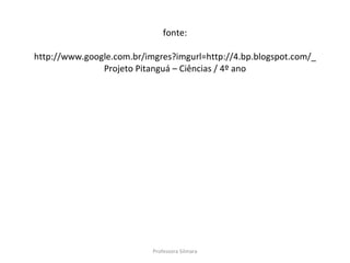fonte: http://www.google.com.br/imgres?imgurl=http://4.bp.blogspot.com/_ Projeto Pitanguá – Ciências / 4º ano Professora Silmara 