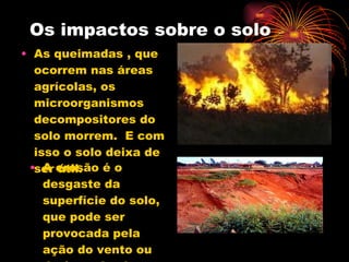 Os impactos sobre o solo As queimadas , que ocorrem nas áreas agrícolas, os microorganismos decompositores do solo morrem.  E com isso o solo deixa de ser útil.  A erosão é o desgaste da superfície do solo, que pode ser provocada pela ação do vento ou da água da chuva. 