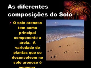 As diferentes composições do Solo O solo arenoso tem como principal componente a areia.  A variedade de plantas que se desenvolvem no solo arenoso é pequena. 