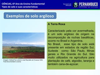 Exemplos de solo argiloso
A Terra Roxa
Caracterizado pela cor avermelhada,
é um solo argiloso de origem na
decomposição de rochas basálticas,
ocorre no Brasil e Argentina.
No Brasil, esse tipo de solo está
presente em estados da região Sul,
Sudeste como: São Paulo, Minas
gerais e Rio Grande do Sul. São
muito utilizados na agricultura para
plantação de café, algodão, laranja e
também cana-de-açúcar.
CIÊNCIAS, 6º Ano do Ensino Fundamental
Tipos de solo e suas características
Imagem: Cafezal Faz Letreiro/ José Reynaldo da Fonseca/ GNU
Free Documentation License
 