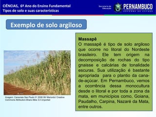 Exemplo de solo argiloso
Massapê
O massapê é tipo de solo argiloso
que ocorre no litoral do Nordeste
brasileiro. Ele tem origem na
decomposição de rochas do tipo
gnaisse e calcárias de tonalidade
escuras. Sua utilização é bastante
apropriada para o plantio da cana-
de-açúcar. Em Pernambuco, vemos
a ocorrência dessa monocultura
desde o litoral e por toda a zona da
mata, em municípios como, Goiana,
Paudalho, Carpina, Nazaré da Mata,
entre outros.
CIÊNCIAS, 6º Ano do Ensino Fundamental
Tipos de solo e suas características
Imagem: Canaviais Sao Paulo 01 2008 06/ Mariordo/ Creative
Commons Attribution-Share Alike 3.0 Unported
 