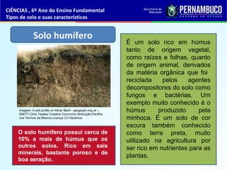 Solo humífero
É um solo rico em húmus
tanto de origem vegetal,
como raízes e folhas, quanto
de origem animal, derivados
da matéria orgânica que foi
reciclada pelos agentes
decompositores do solo como
fungos e bactérias. Um
exemplo muito conhecido é o
húmus produzido pela
minhoca. É um solo de cor
escura também conhecido
como terra preta, muito
utilizado na agricultura por
ser rico em nutrientes para as
plantas.
O solo humífero possui cerca de
10% a mais de húmus que os
outros solos. Rico em sais
minerais, bastante poroso e de
boa aeração.
CIÊNCIAS , 6º Ano do Ensino Fundamental
Tipos de solo e suas características
Imagem: A soil profile on Kilner Bank - geograph.org.uk –
92677/ Chris Yeates/ Creative Commons Atribuição-Partilha
nos Termos da Mesma Licença 2.0 Genérica
 
