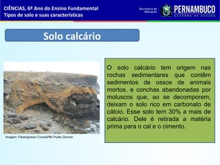 O solo calcário tem origem nas
rochas sedimentares que contêm
sedimentos de ossos de animais
mortos, e conchas abandonadas por
moluscos que, ao se decomporem,
deixam o solo rico em carbonato de
cálcio. Esse solo tem 30% a mais de
calcário. Dele é retirada a matéria
prima para o cal e o cimento.
Solo calcário
CIÊNCIAS, 6º Ano do Ensino Fundamental
Tipos de solo e suas características
Imagem: FiloesIgneos/ CorreiaPM/ Public Domain
 