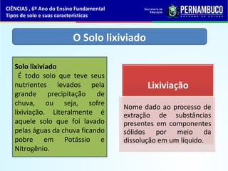 O Solo lixiviado
Solo lixiviado
É todo solo que teve seus
nutrientes levados pela
grande precipitação de
chuva, ou seja, sofre
lixiviação. Literalmente é
aquele solo que foi lavado
pelas águas da chuva ficando
pobre em Potássio e
Nitrogênio.
CIÊNCIAS , 6º Ano do Ensino Fundamental
Tipos de solo e suas características
 
