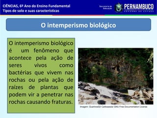O intemperismo biológico
O intemperismo biológico
é um fenômeno que
acontece pela ação de
seres vivos como
bactérias que vivem nas
rochas ou pela ação de
raízes de plantas que
podem vir a penetrar nas
rochas causando fraturas.
CIÊNCIAS, 6º Ano do Ensino Fundamental
Tipos de solo e suas características
Imagem: Guarinos02/ Carlosassis/ GNU Free Documentation License
 