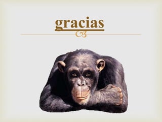 
gracias
 