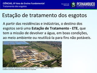 Estação de tratamento dos esgotos
A partir das residências e indústrias, o destino dos
esgotos será uma Estação de Tratamento - ETE, que
tem a missão de devolver a água, em boas condições,
ao meio ambiente ou reutilizá-la para fins não potáveis.
CIÊNCIAS, 6º Ano do Ensino Fundamental
Tratamento dos esgotos
Imagem: Estação de tratamento de esgoto Serrarina / Flávio Fraga/Divulgação PMPA /
Creative Commons Attribution-Share Alike 3.0 Unported
 