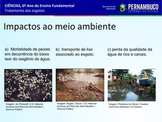 Impactos ao meio ambiente
a) Mortalidade de peixes
em decorrência do baixo
teor do oxigênio da água;
b) transporte de lixo
associado ao esgoto;
c) perda da qualidade da
água de rios e canais.
CIÊNCIAS, 6º Ano do Ensino Fundamental
Tratamento dos esgotos
Imagem: Jim Pickerell / U.S. National
Archives and Records Administration /
Domínio Público
Imagem: Prefeitura de Olinda / Creative
Commons Attribution 2.0 Generic
Imagem: Rogers, Chuck / U.S. National
Archives and Records Administration /
Domínio Público
 